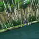 Game Naruto Yang Seru Dimainin